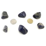 Sodalite Tumbled