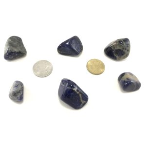 Sodalite Tumbled