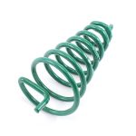 Remedywala Vastu Green Conical clockwise Spring Used to balance of The Wood Energy Field