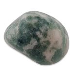 Moss Agate Tumbled