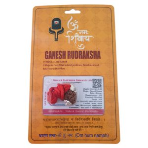 Natural Ganesh Rudraksha